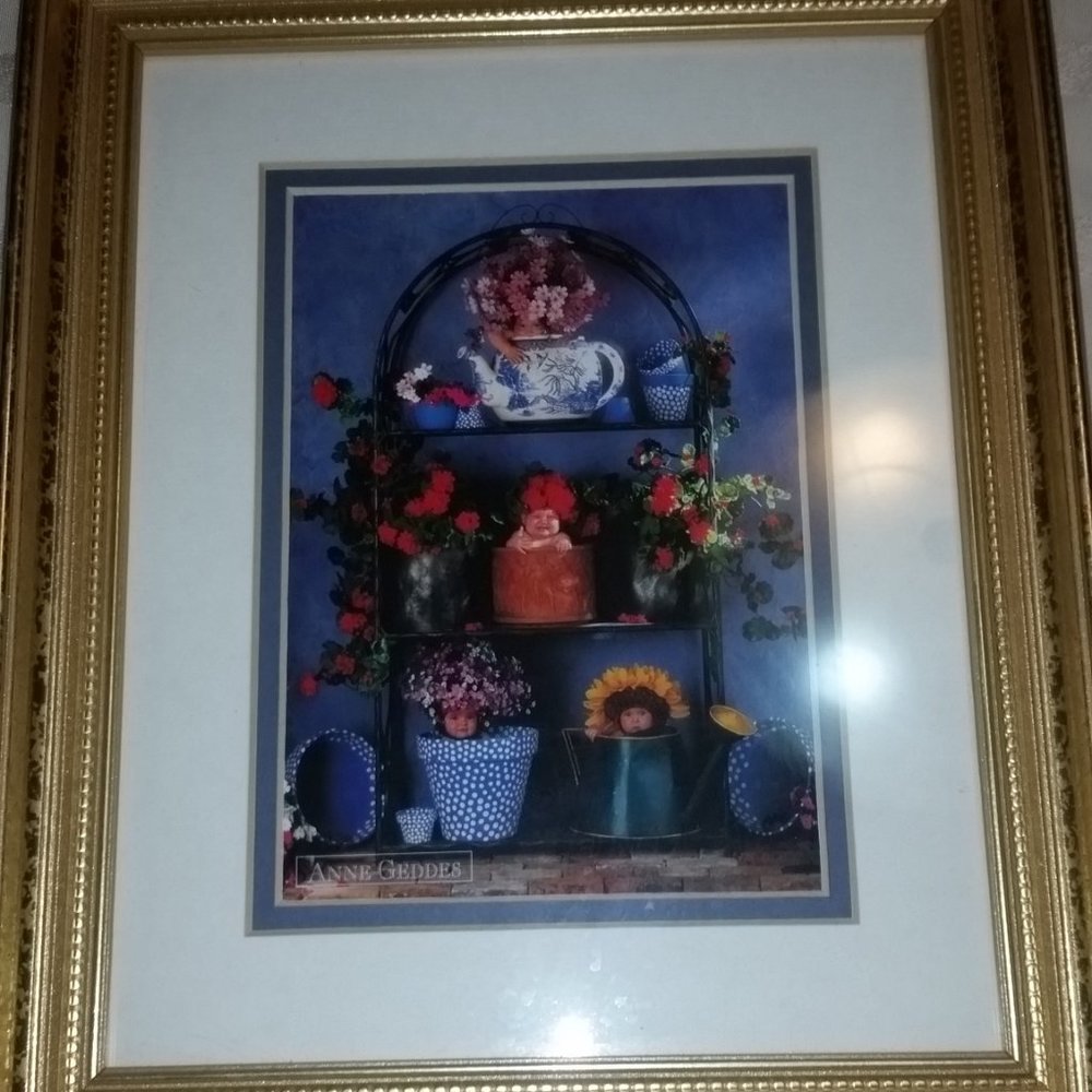 Anne Geddes portrait of flowers w/ frame